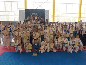 Первенство и Фестиваль Липецкой области по КУДО.